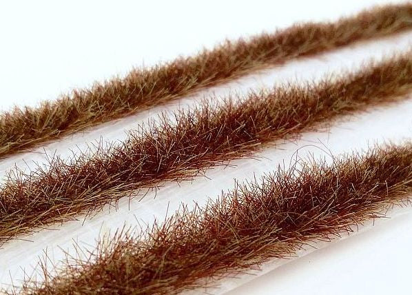 Grasstreifen Spätherbst
