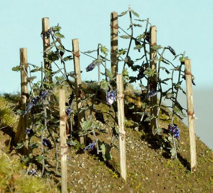 Weinreben 1:72 / 1:87 Model-Scene