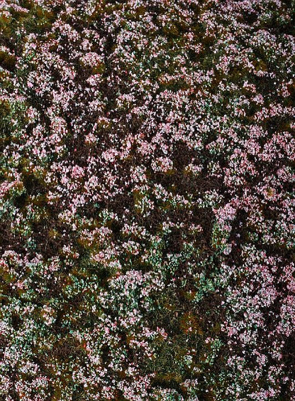 Grasmatte Heide Model-Scene