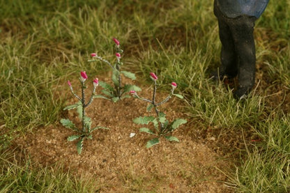Distel 1:72 / 1:87 Model-Scene
