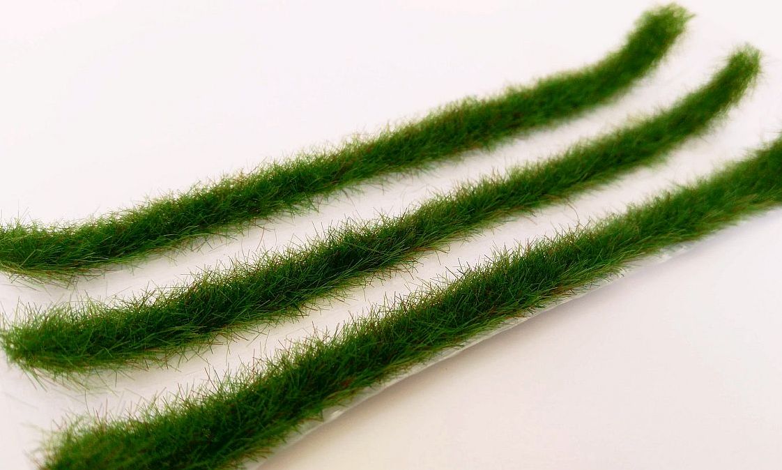 Grasstreifen Frühsommer