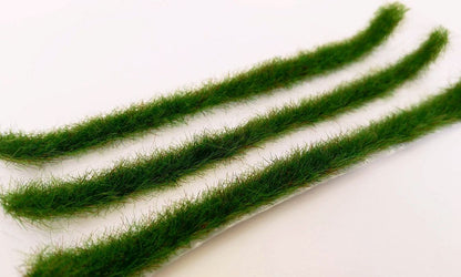 Grasstreifen Frühsommer