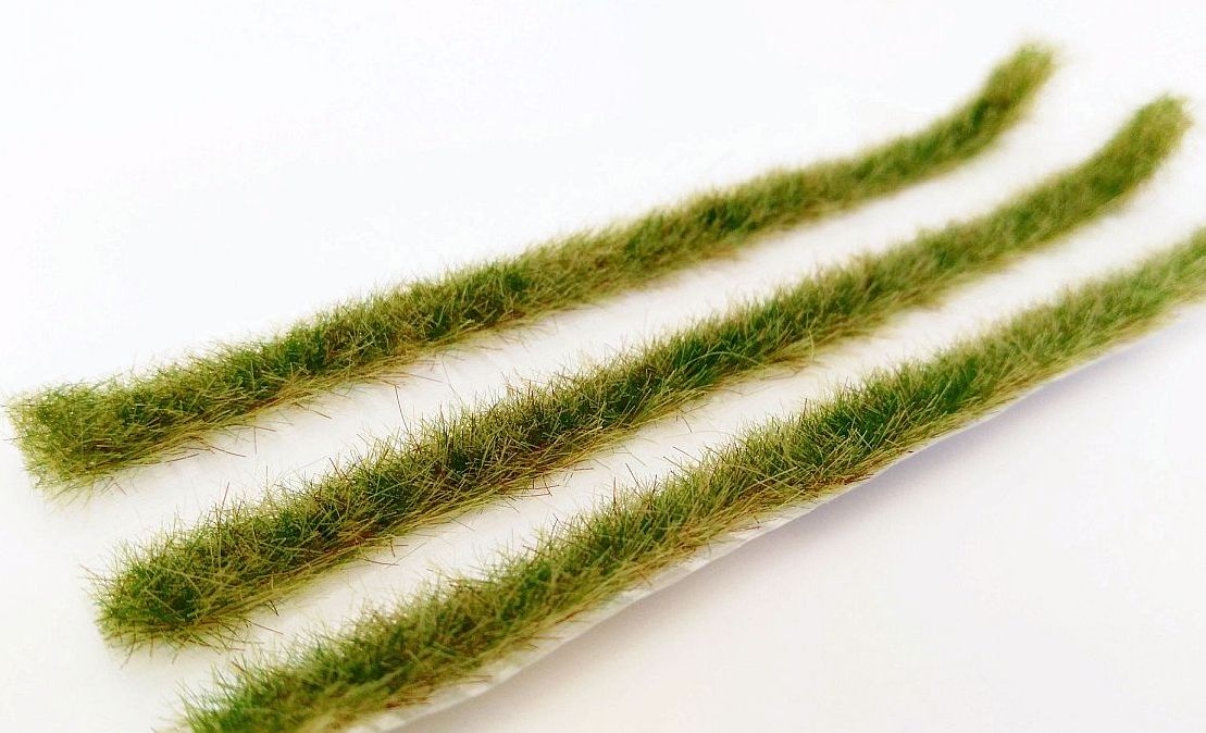 Grasstreifen Spätsommer