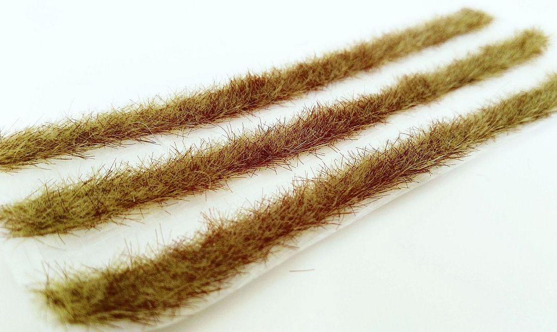 Grasstreifen Frühherbst