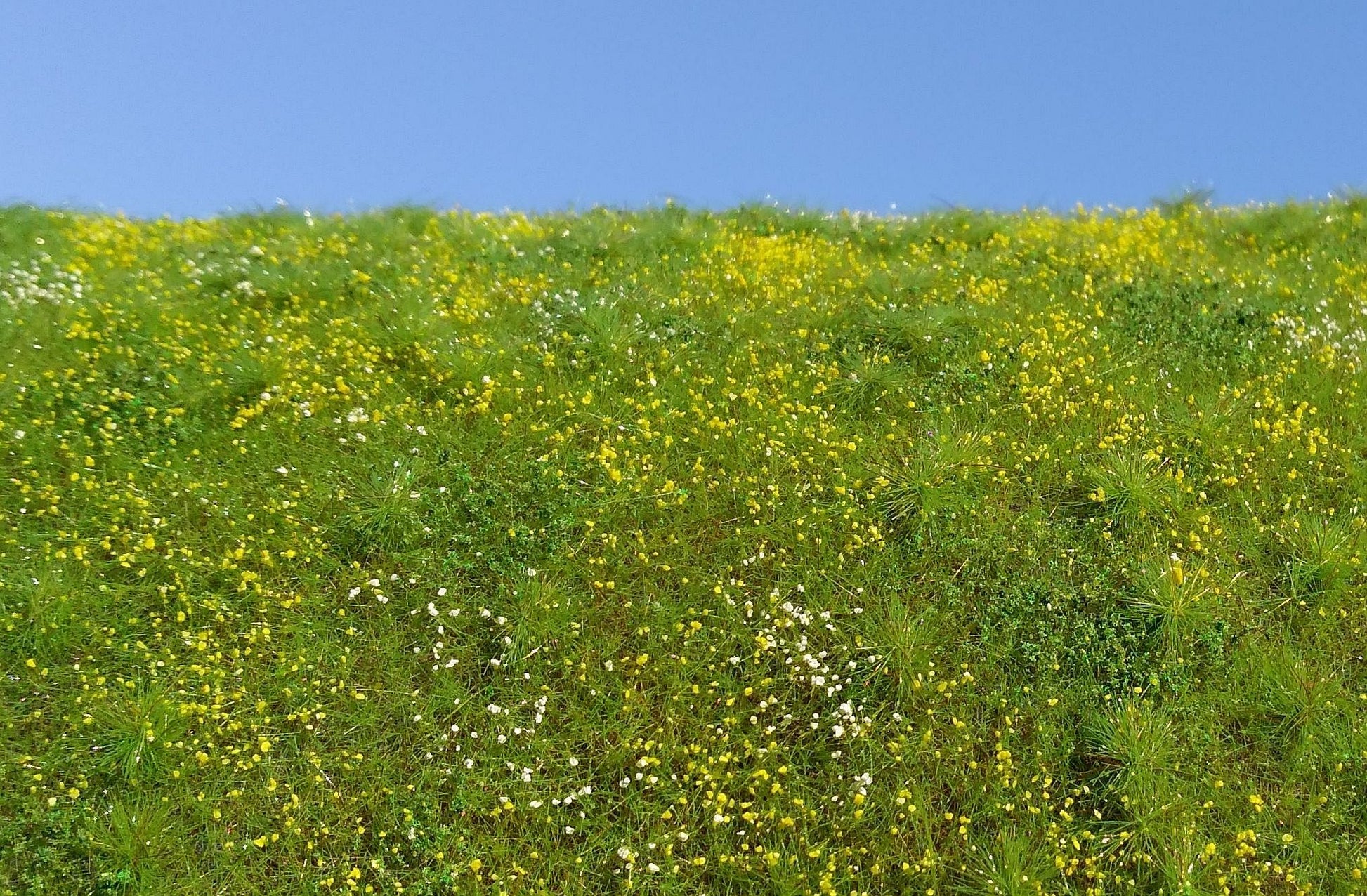 Blühende Wiese - Frühling - Langmesser-Modellwelt